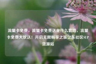 流量卡免费，流量卡免费送是什么套路，流量卡免费大放送！开启无限畅享之旅亿乐社区SUP货源站