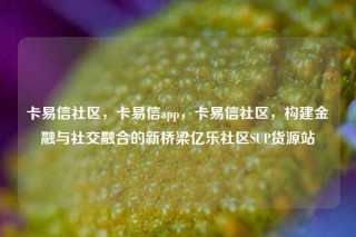 卡易信社区，卡易信app，卡易信社区，构建金融与社交融合的新桥梁亿乐社区SUP货源站
