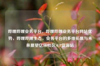 哔哩哔哩业务平台，哔哩哔哩业务平台网站优势，哔哩哔哩生态，业务平台的多维拓展与未来展望亿乐社区SUP货源站