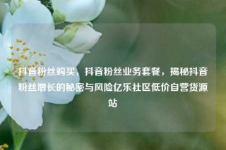 抖音粉丝购买，抖音粉丝业务套餐，揭秘抖音粉丝增长的秘密与风险亿乐社区低价自营货源站