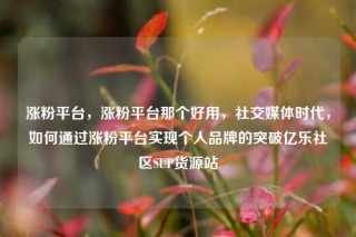 涨粉平台，涨粉平台那个好用，社交媒体时代，如何通过涨粉平台实现个人品牌的突破亿乐社区SUP货源站