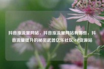 抖音涨流量网站，抖音涨流量网站有哪些，抖音流量提升的秘密武器亿乐社区SUP货源站