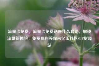 流量卡免费，流量卡免费送是什么套路，解锁流量新体验，免费福利等你来亿乐社区SUP货源站
