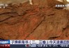 回家了！子弹库帛书二、三卷将于7月首次面向公众展出