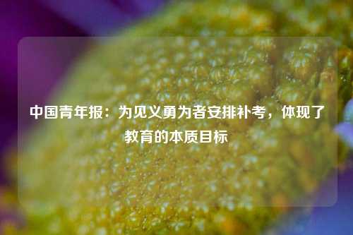 中国青年报：为见义勇为者安排补考，体现了教育的本质目标  第1张