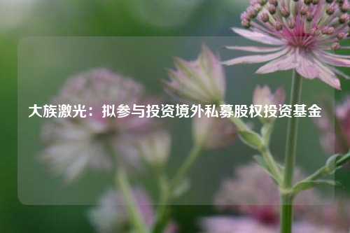 大族激光：拟参与投资境外私募股权投资基金  第1张
