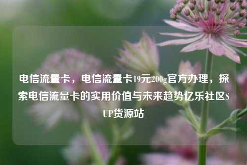 电信流量卡，电信流量卡19元200g官方办理	，探索电信流量卡的实用价值与未来趋势亿乐社区SUP货源站  第1张
