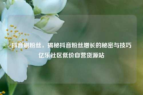 抖音刷粉丝，揭秘抖音粉丝增长的秘密与技巧亿乐社区低价自营货源站  第1张