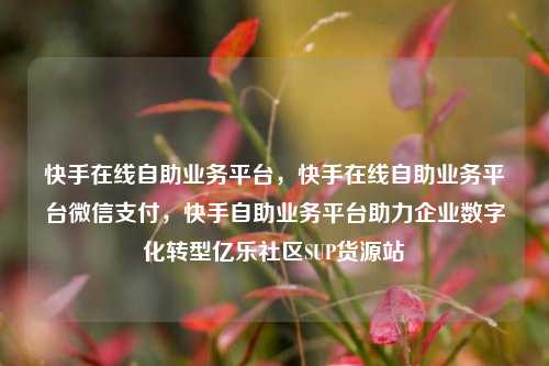 快手在线自助业务平台	，快手在线自助业务平台微信支付，快手自助业务平台助力企业数字化转型亿乐社区SUP货源站  第1张