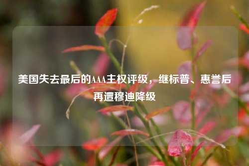 美国失去最后的AAA主权评级，继标普、惠誉后再遭穆迪降级  第1张