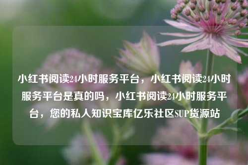 小红书阅读24小时服务平台	，小红书阅读24小时服务平台是真的吗，小红书阅读24小时服务平台，您的私人知识宝库亿乐社区SUP货源站  第1张