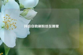 抖音自助刷粉丝在哪里