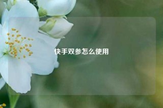 快手双参怎么使用