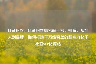 抖音粉丝，抖音粉丝排名前十名，抖音，从红人到品牌，如何打造千万级粉丝的影响力亿乐社区SUP货源站