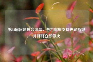 第34届阿盟峰会闭幕，各方重申支持巴勒斯坦并呼吁立即停火