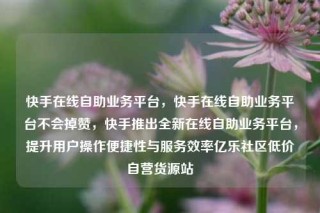 快手在线自助业务平台，快手在线自助业务平台不会掉赞，快手推出全新在线自助业务平台，提升用户操作便捷性与服务效率亿乐社区低价自营货源站