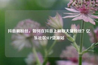 抖音刷粉丝，如何在抖音上刷取大量粉丝？亿乐社区SUP货源站