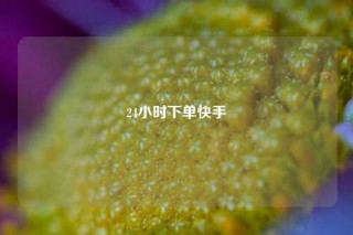 24小时下单快手