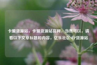 卡盟货源站，卡盟货源站官网，当然可以，请看以下文章标题和内容，亿乐社区SUP货源站