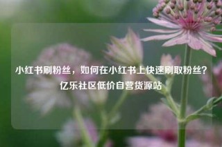 小红书刷粉丝，如何在小红书上快速刷取粉丝？亿乐社区低价自营货源站
