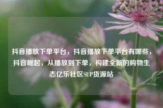 抖音播放下单平台，抖音播放下单平台有哪些，抖音崛起，从播放到下单，构建全新的购物生态亿乐社区SUP货源站