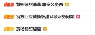雅安纪委监委回应“黄杨钿甜耳环事件”：正在处理
