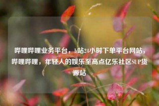 哔哩哔哩业务平台，b站24小时下单平台网站，哔哩哔哩，年轻人的娱乐至高点亿乐社区SUP货源站