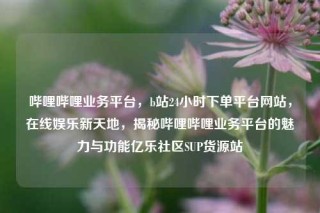 哔哩哔哩业务平台，b站24小时下单平台网站，在线娱乐新天地，揭秘哔哩哔哩业务平台的魅力与功能亿乐社区SUP货源站