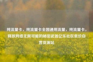 纯流量卡，纯流量卡全国通用流量，纯流量卡，释放网络无限可能的秘密武器亿乐社区低价自营货源站