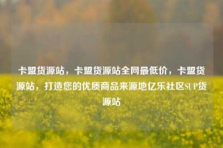 卡盟货源站，卡盟货源站全网最低价，卡盟货源站，打造您的优质商品来源地亿乐社区SUP货源站