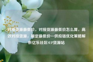 对接货源最低价，对接货源最低价怎么算，高效对接货源，锁定最低价—供应链优化策略解析亿乐社区SUP货源站