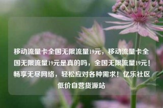 移动流量卡全国无限流量19元，移动流量卡全国无限流量19元是真的吗，全国无限流量19元！畅享无尽网络，轻松应对各种需求！亿乐社区低价自营货源站