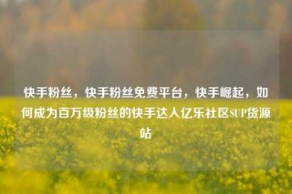 快手粉丝，快手粉丝免费平台，快手崛起，如何成为百万级粉丝的快手达人亿乐社区SUP货源站