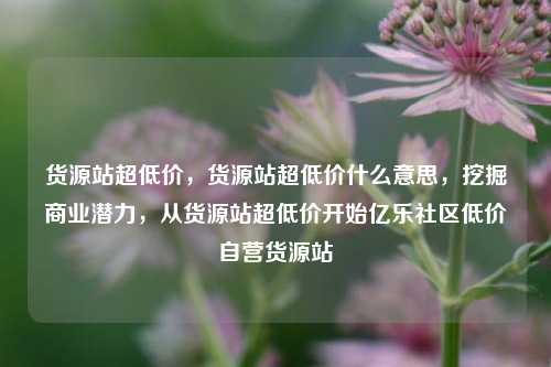 货源站超低价	，货源站超低价什么意思，挖掘商业潜力，从货源站超低价开始亿乐社区低价自营货源站  第1张