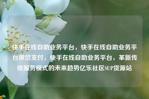 快手在线自助业务平台，快手在线自助业务平台微信支付	，快手在线自助业务平台，革新传统服务模式的未来趋势亿乐社区SUP货源站  第1张