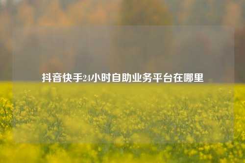 抖音快手24小时自助业务平台在哪里  第1张