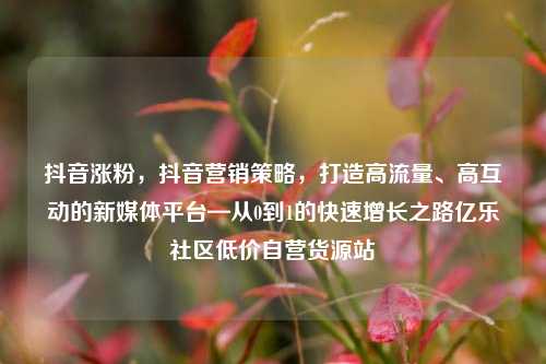 抖音涨粉	，抖音营销策略，打造高流量	、高互动的新媒体平台—从0到1的快速增长之路亿乐社区低价自营货源站  第1张