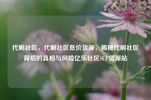 代刷社区，代刷社区低价货源，揭秘代刷社区背后的真相与风险亿乐社区SUP货源站  第1张