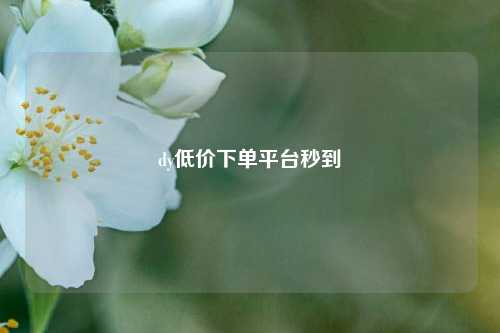 dy低价下单平台秒到  第1张