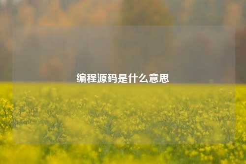 编程源码是什么意思  第1张