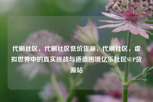 代刷社区，代刷社区低价货源，代刷社区，虚拟世界中的真实挑战与道德困境亿乐社区SUP货源站  第1张