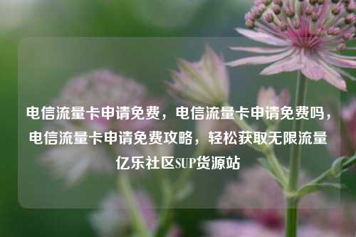 电信流量卡申请免费，电信流量卡申请免费吗，电信流量卡申请免费攻略	，轻松获取无限流量亿乐社区SUP货源站  第1张