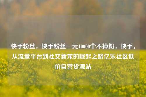 快手粉丝，快手粉丝一元10000个不掉粉，快手，从流量平台到社交新宠的崛起之路亿乐社区低价自营货源站  第1张