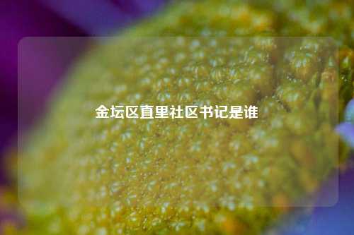 金坛区直里社区书记是谁  第1张