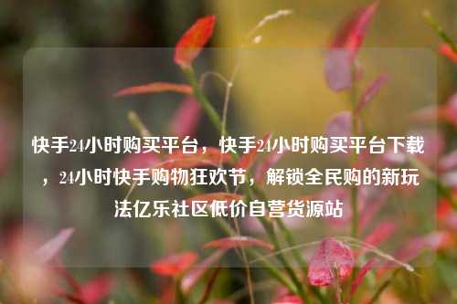 快手24小时购买平台，快手24小时购买平台下载，24小时快手购物狂欢节，解锁全民购的新玩法亿乐社区低价自营货源站  第1张