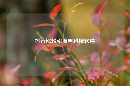 抖音涨粉引流黑科技软件  第1张