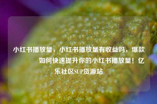 小红书播放量，小红书播放量有收益吗，爆款🔥如何快速提升你的小红书播放量！亿乐社区SUP货源站  第1张