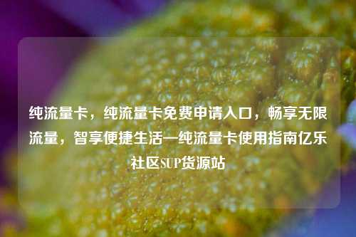 纯流量卡	，纯流量卡免费申请入口，畅享无限流量，智享便捷生活—纯流量卡使用指南亿乐社区SUP货源站  第1张
