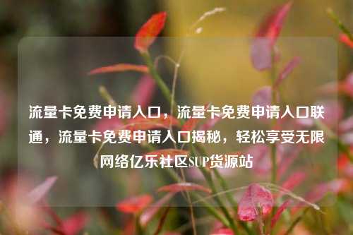 流量卡免费申请入口，流量卡免费申请入口联通，流量卡免费申请入口揭秘，轻松享受无限网络亿乐社区SUP货源站  第1张