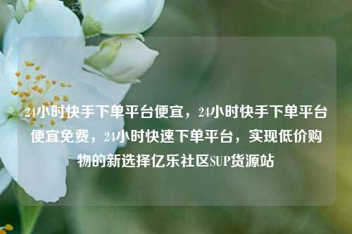 24小时快手下单平台便宜，24小时快手下单平台便宜免费，24小时快速下单平台，实现低价购物的新选择亿乐社区SUP货源站  第1张